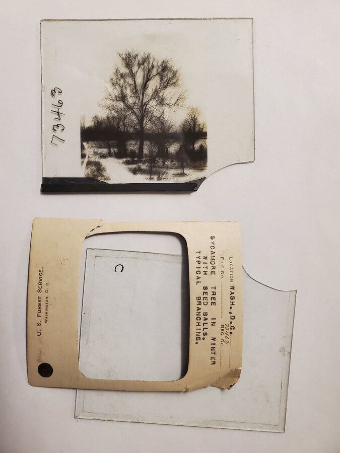 https://archives.library.wcsu.edu/studentOmeka/files/original/CCC_Lantern_Slides/6840/slide_2.jpg