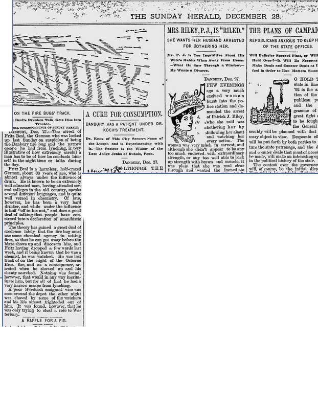 DanburySundayHerald_1890_12.jpg