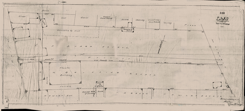 ms038_stebbinsWhole_corrected.jpg