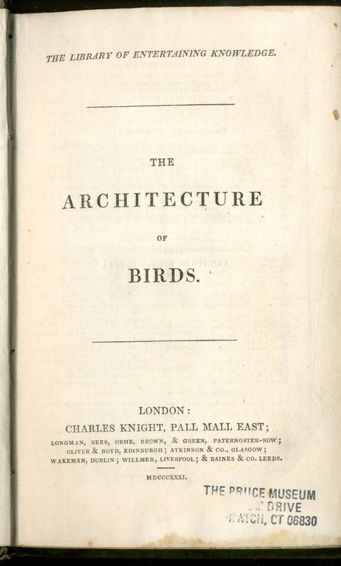 architecture_of_birds003.jpg