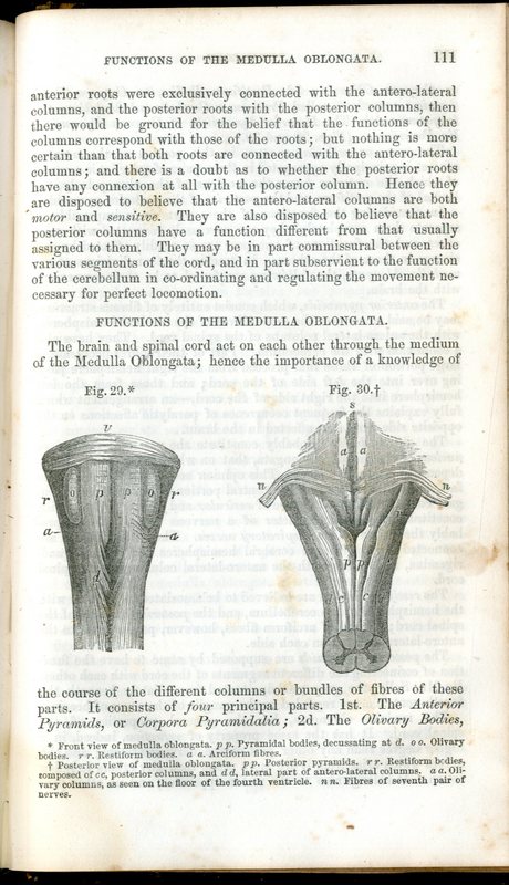 handbook_of_physiology002.jpg