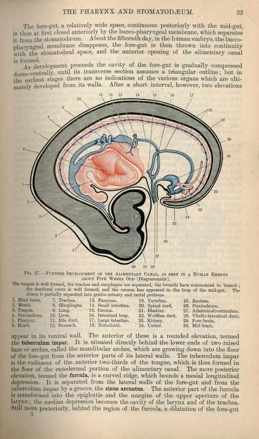 QS_4_C973t_1903_003.jpg