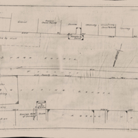 ms038_stebbinsWhole_corrected.jpg