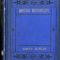 british_butterflies001.jpg