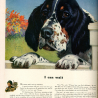 Polk Miller Products Corp (veterinary medicine producer) advertisement;  &quot;I can wait.&quot;