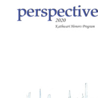 perspective_2020.pdf